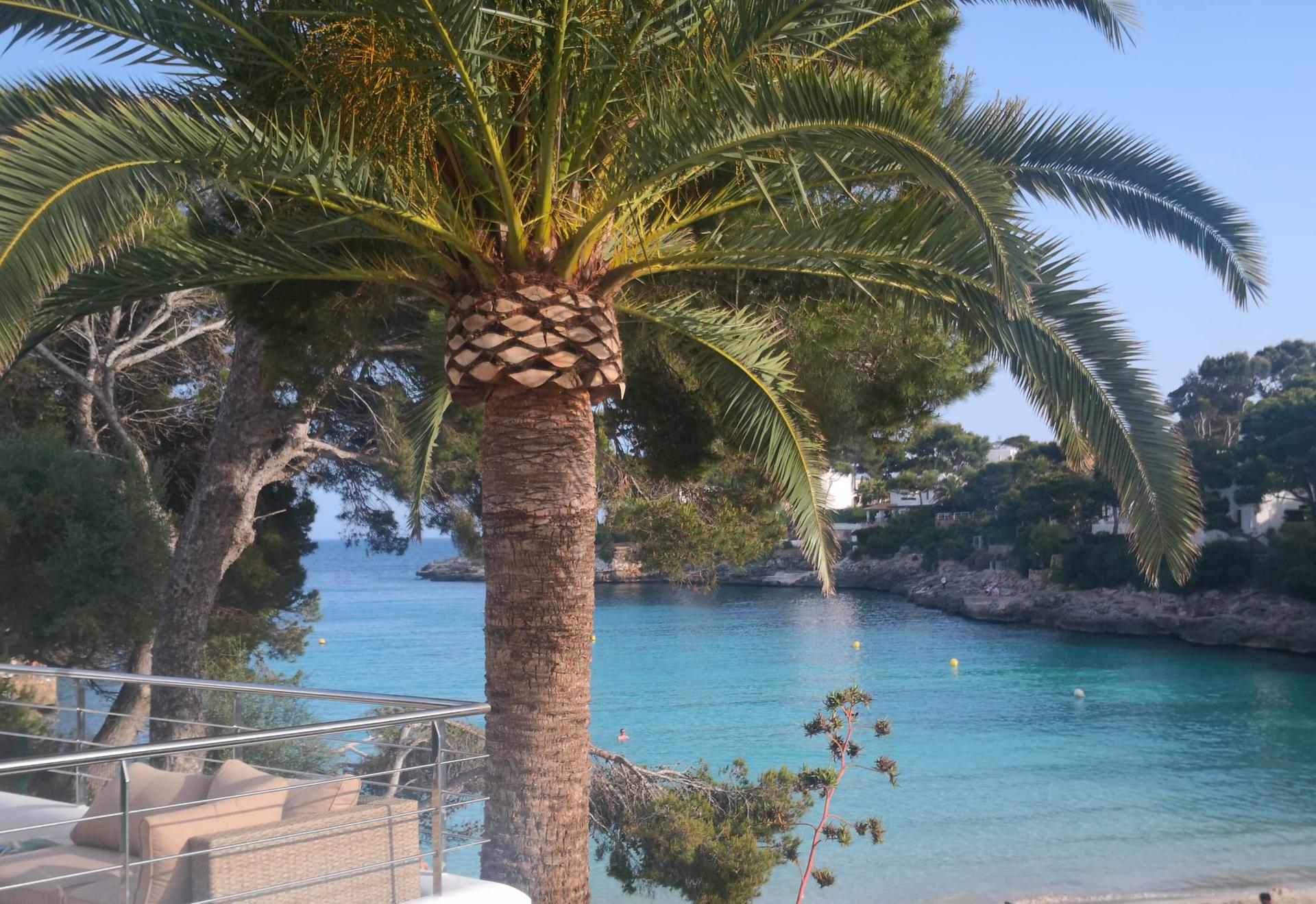 Apartment - Cala D´or - 2 bedrooms - 5 persons